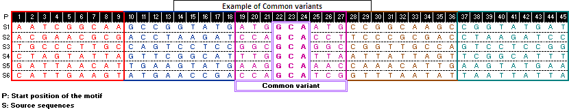 Common variants example